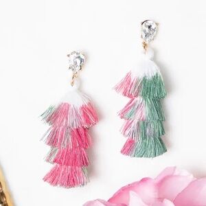 Berry Bliss Tassel Earrings